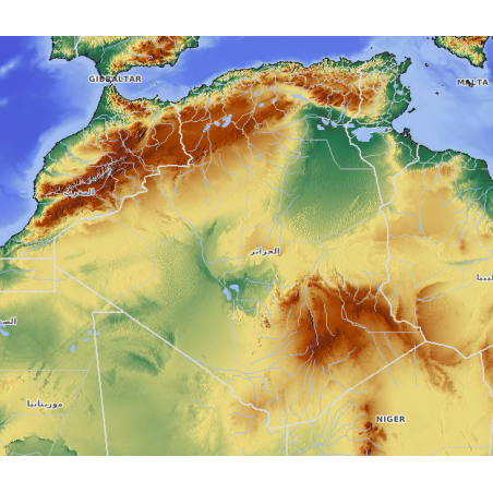 Topographic map of Algeria on SD memory