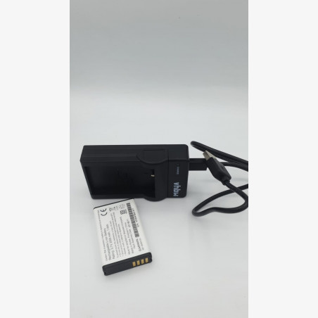 Garmin battery with charger